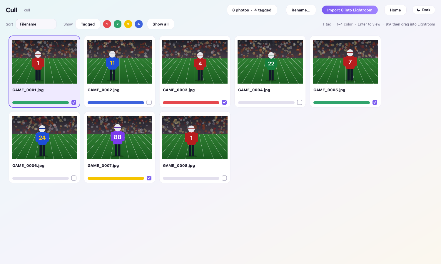 Cull mode showing a grid of photos with color labels and tags